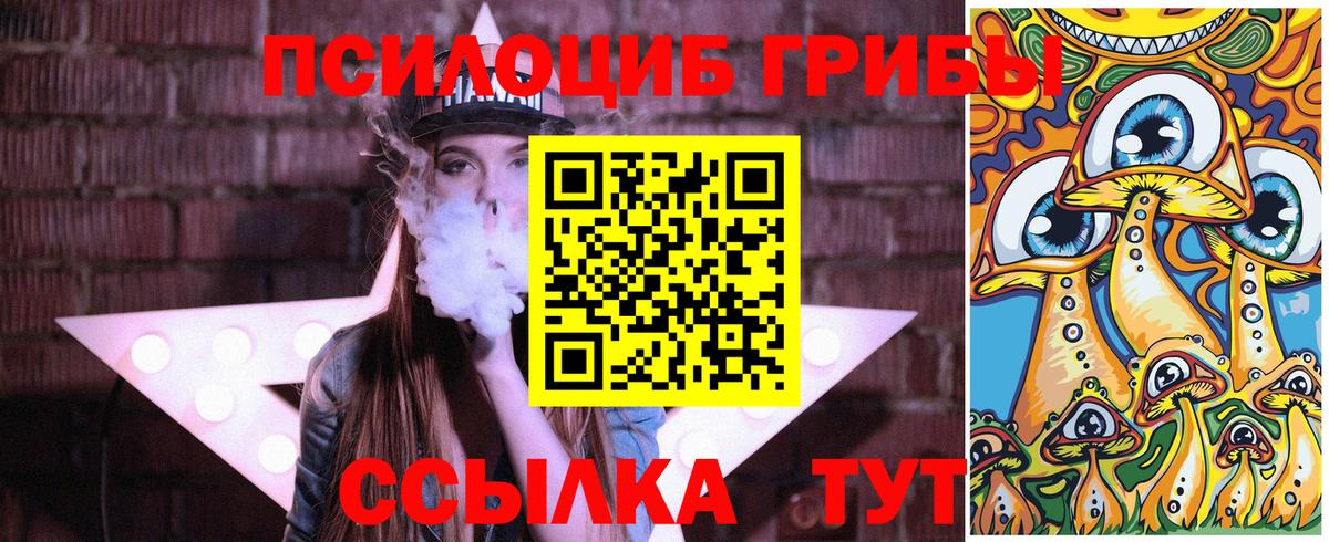 Великий Устюг  Псилоцибиновые грибы Psilocybe  Вход с VPN 