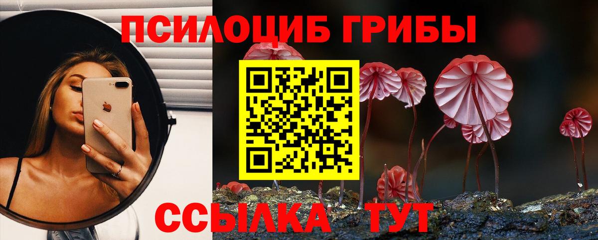 Псилоцибиновые грибы Magic Shrooms Великий Устюг